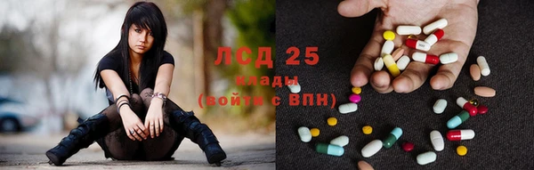 сатива Арсеньев
