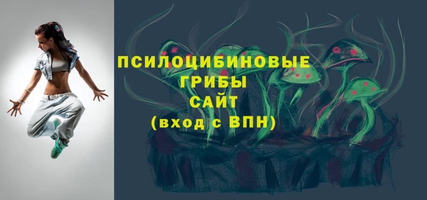 сатива Арсеньев