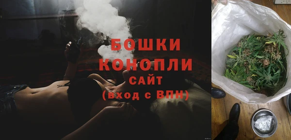 сатива Арсеньев