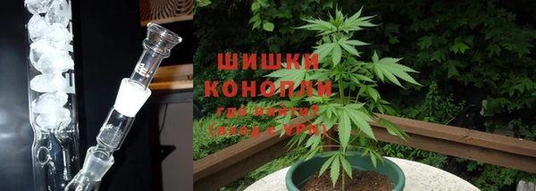 сатива Арсеньев