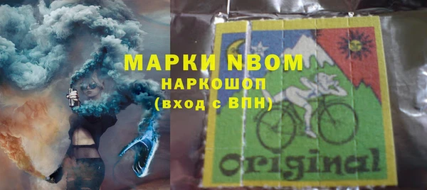 сатива Арсеньев