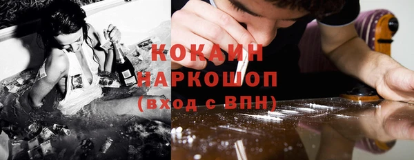 сатива Арсеньев